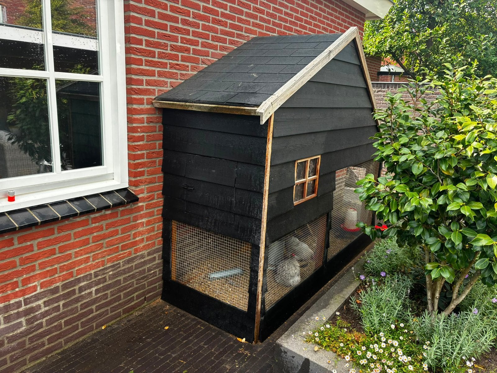 Kippen hok, Ophalen, 250 tot 500 cm, Overige typen, 1 raam