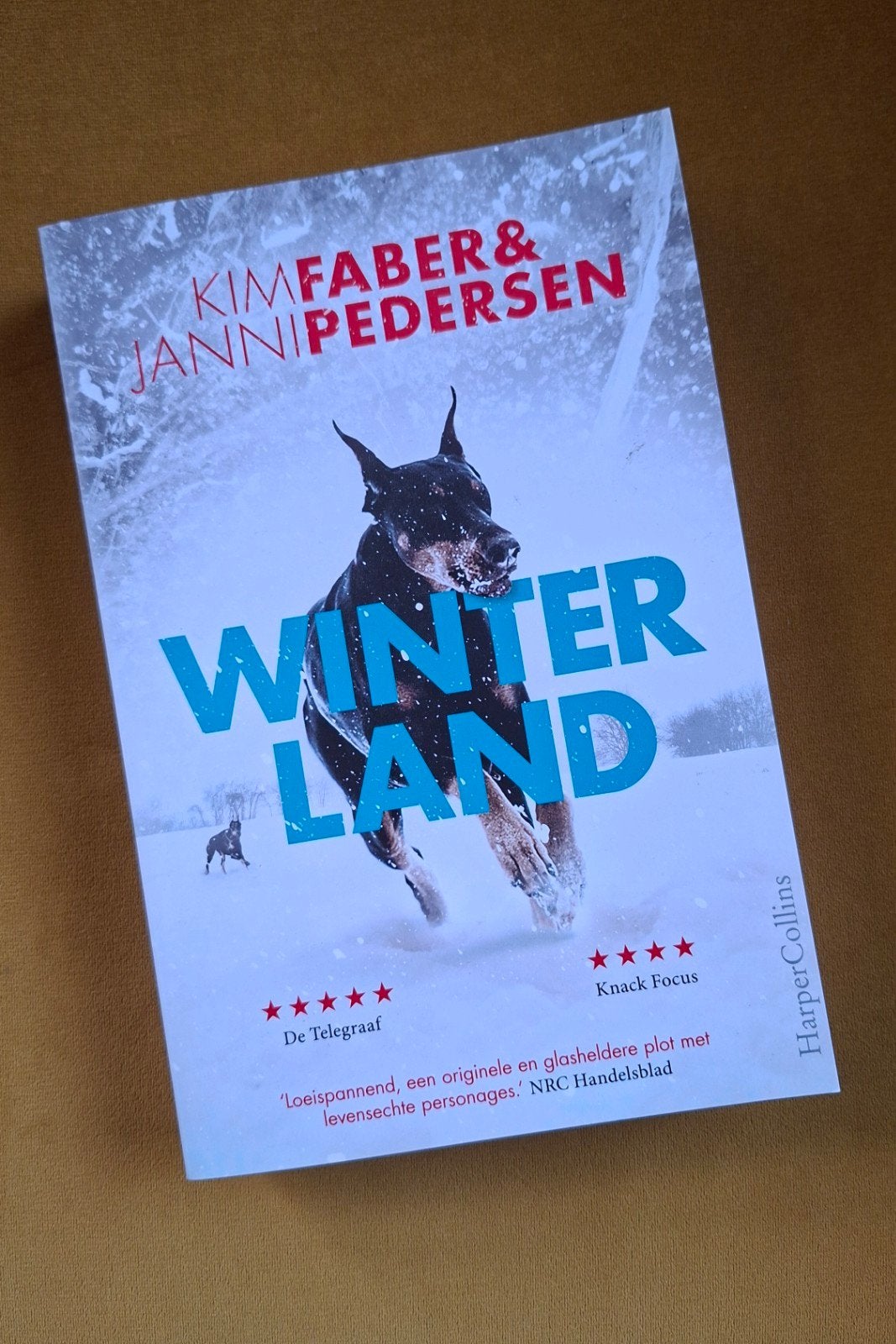Winterland - Kim Faber & Janni Pedersen (Thriller), Ophalen of Verzenden, Zo goed als nieuw, Kim Faber & Janni Pedersen