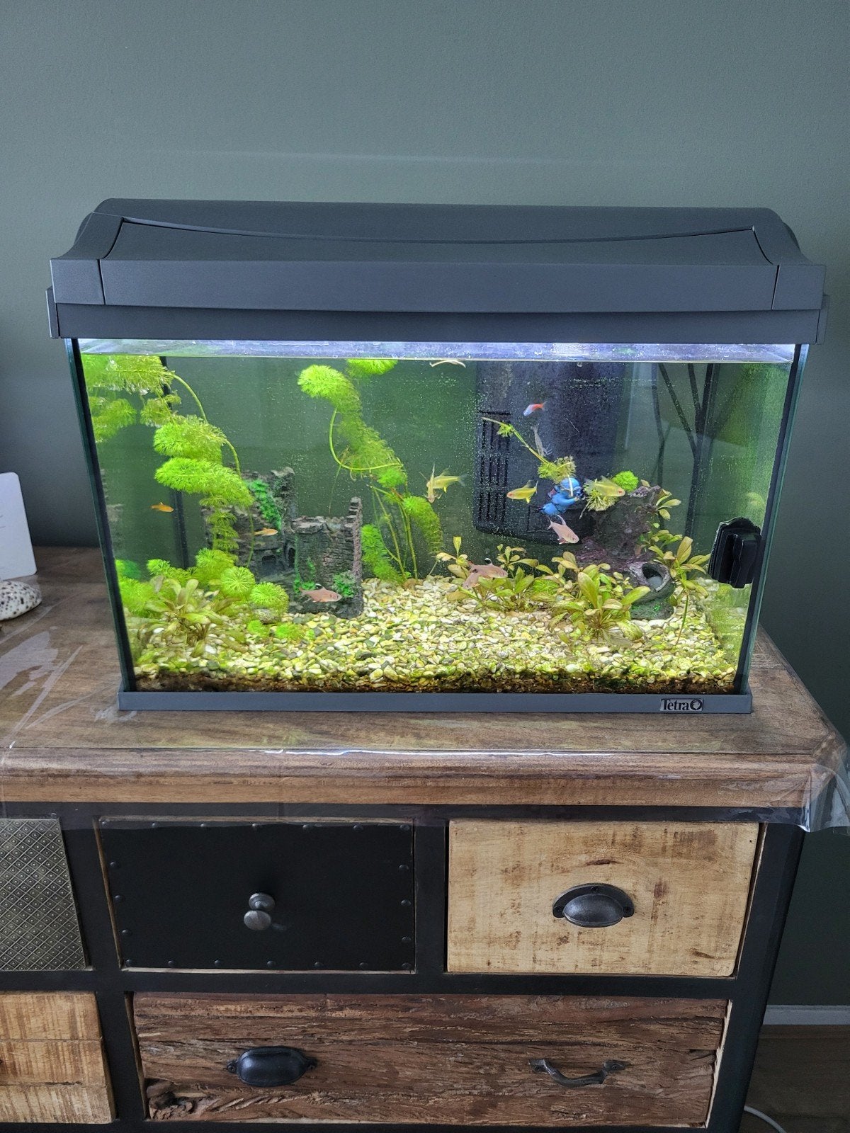 Mooie aquarium met toebehoren, Ophalen, Zo goed als nieuw, Leeg aquarium