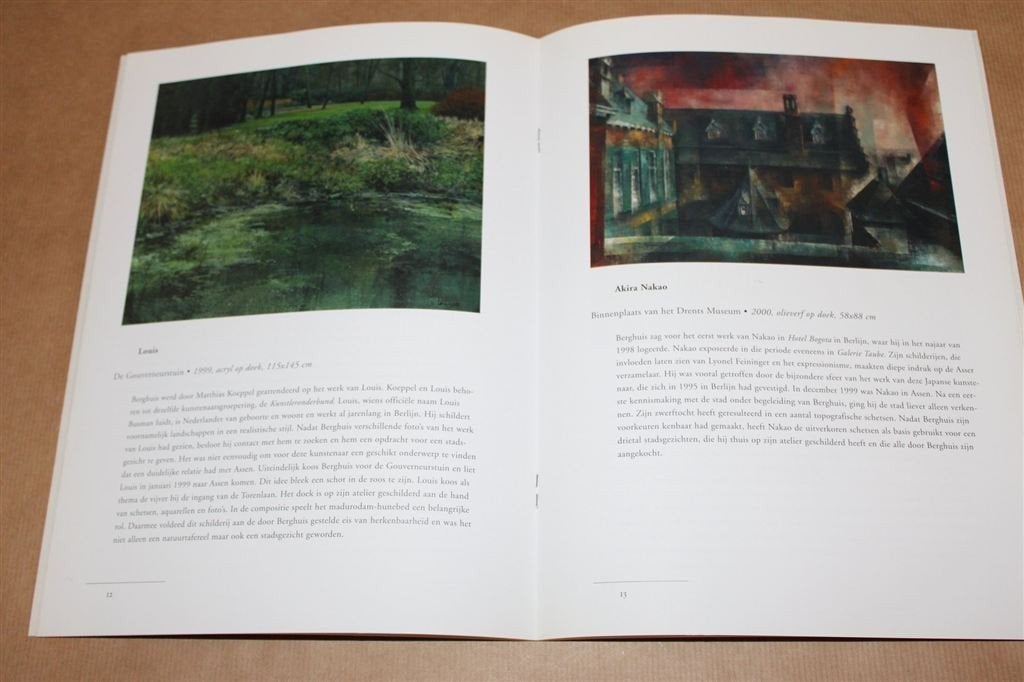 Asser stadsgezichten door Berlijnse kunstenaars., Boeken, Ophalen of Verzenden, Zo goed als nieuw