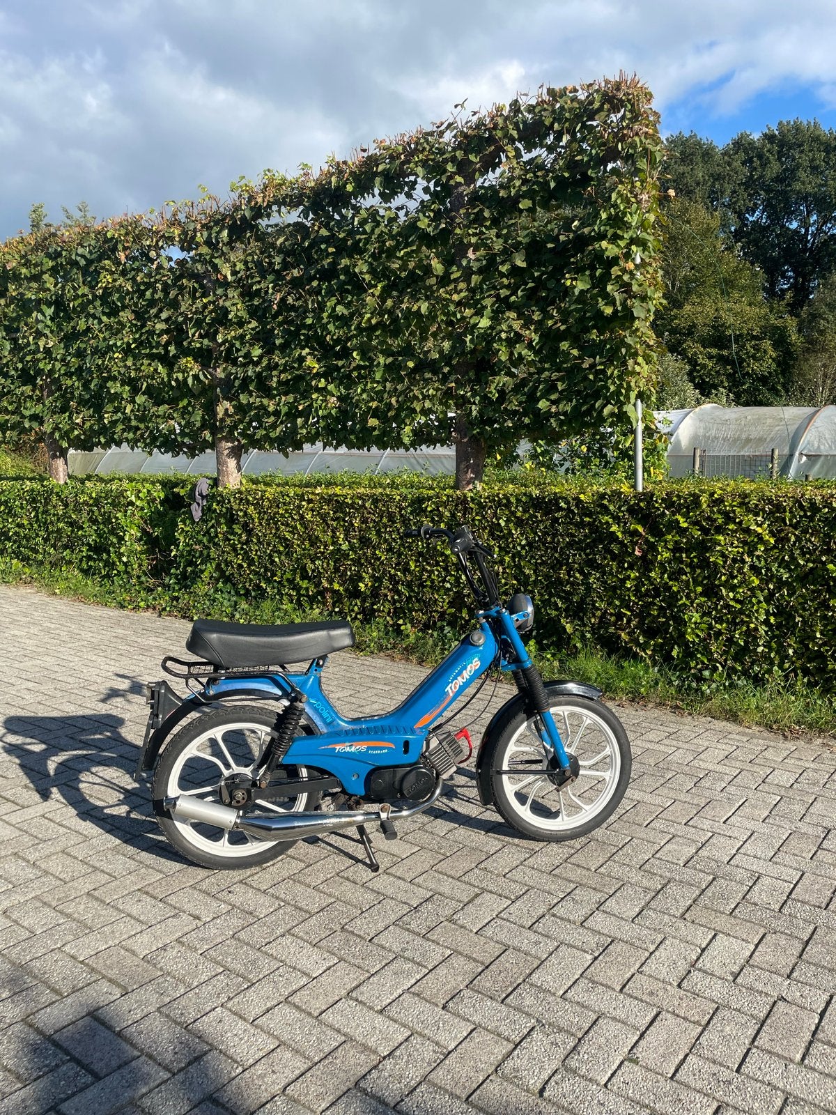 Tomos brommer - Goed onderhouden en betrouwbaar, Fietsen en Brommers, Ophalen of Verzenden, Gebruikt, Maximaal 45 km/u, Standard