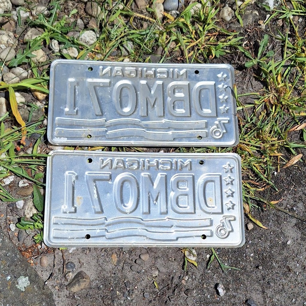Set 2 originele USA license plates van de staat Michigan., Ophalen of Verzenden, Gebruikt, Auto's