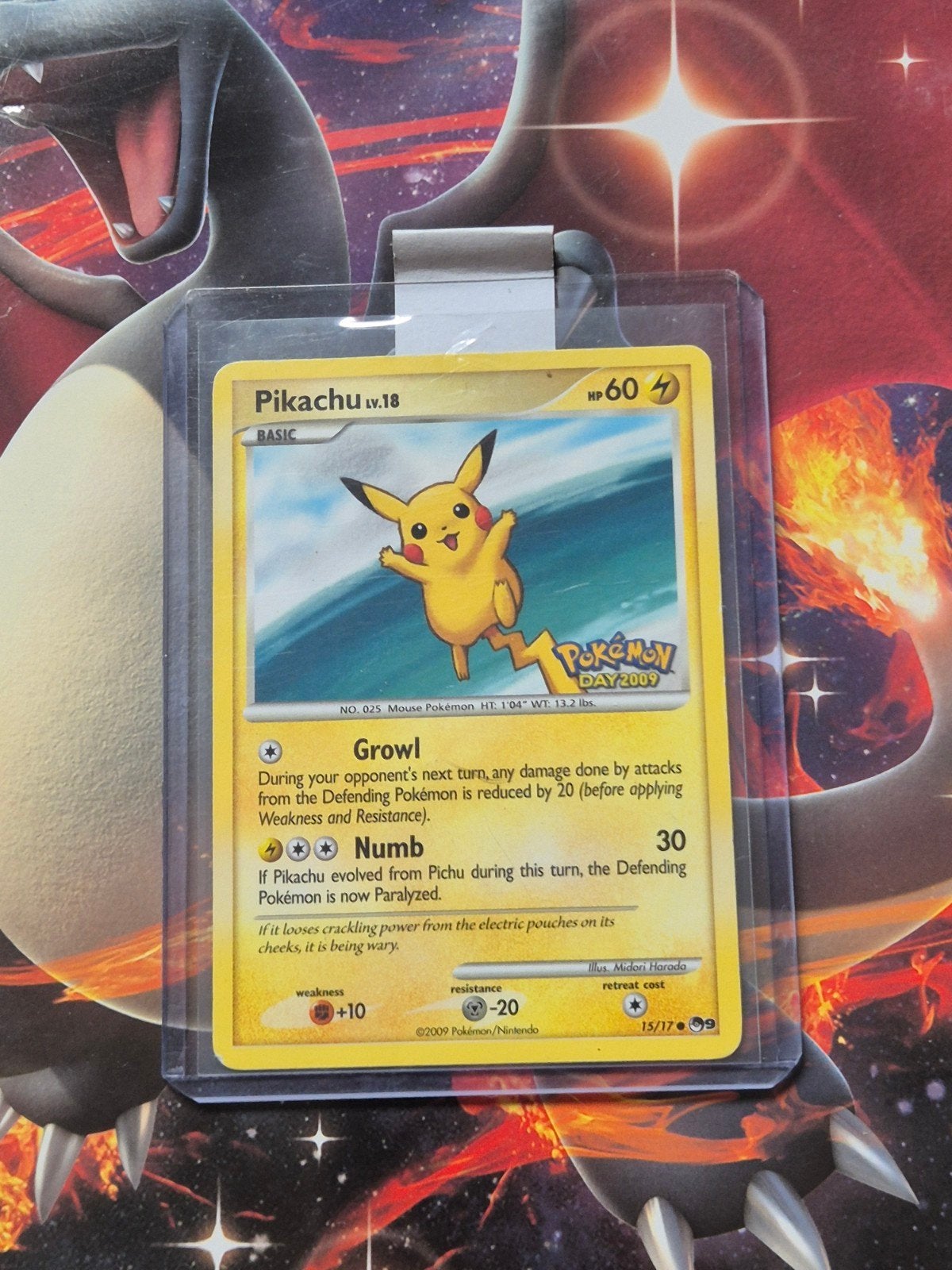 pikachu pokemon day 2009, Ophalen