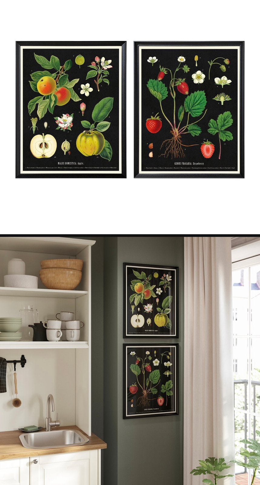 Set van 2 botanische prints: appel en aardbei, Ophalen, 50 – 75, Minder dan 50 cm, Print