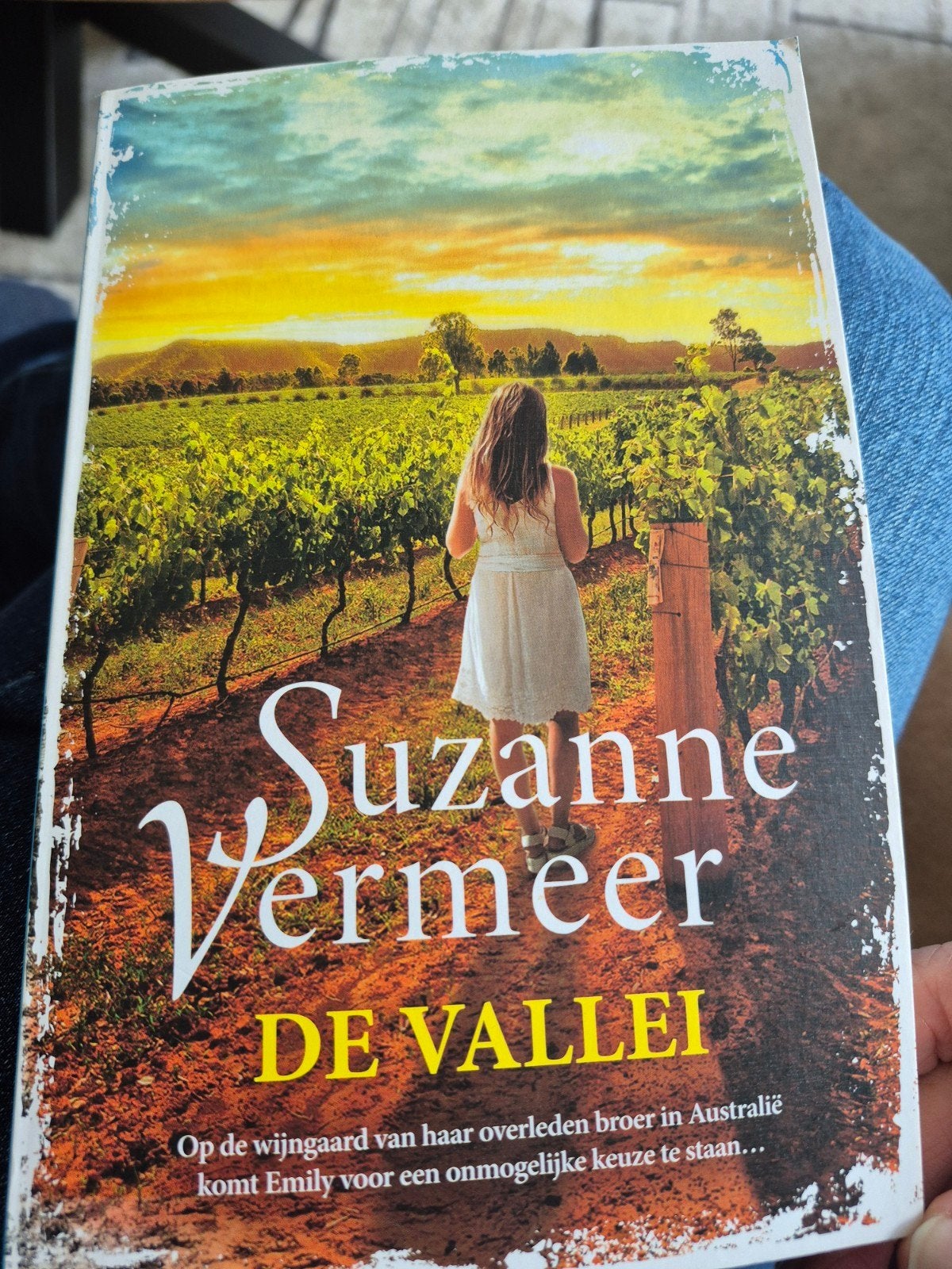 Suzanne Vermeer - De Vallei (Thriller), Ophalen of Verzenden, Gelezen, Suzanne Vermeer