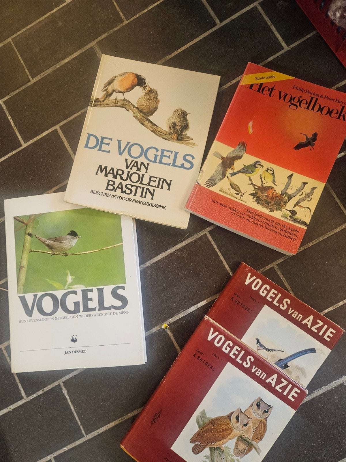 Vogelboeken, Boeken, Dieren en Huisdieren, Ophalen of Verzenden, Gelezen