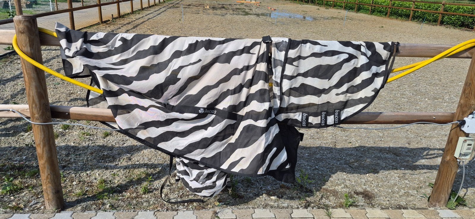 Bucas Buzz off zebra 5'9, Ophalen of Verzenden, Zo goed als nieuw