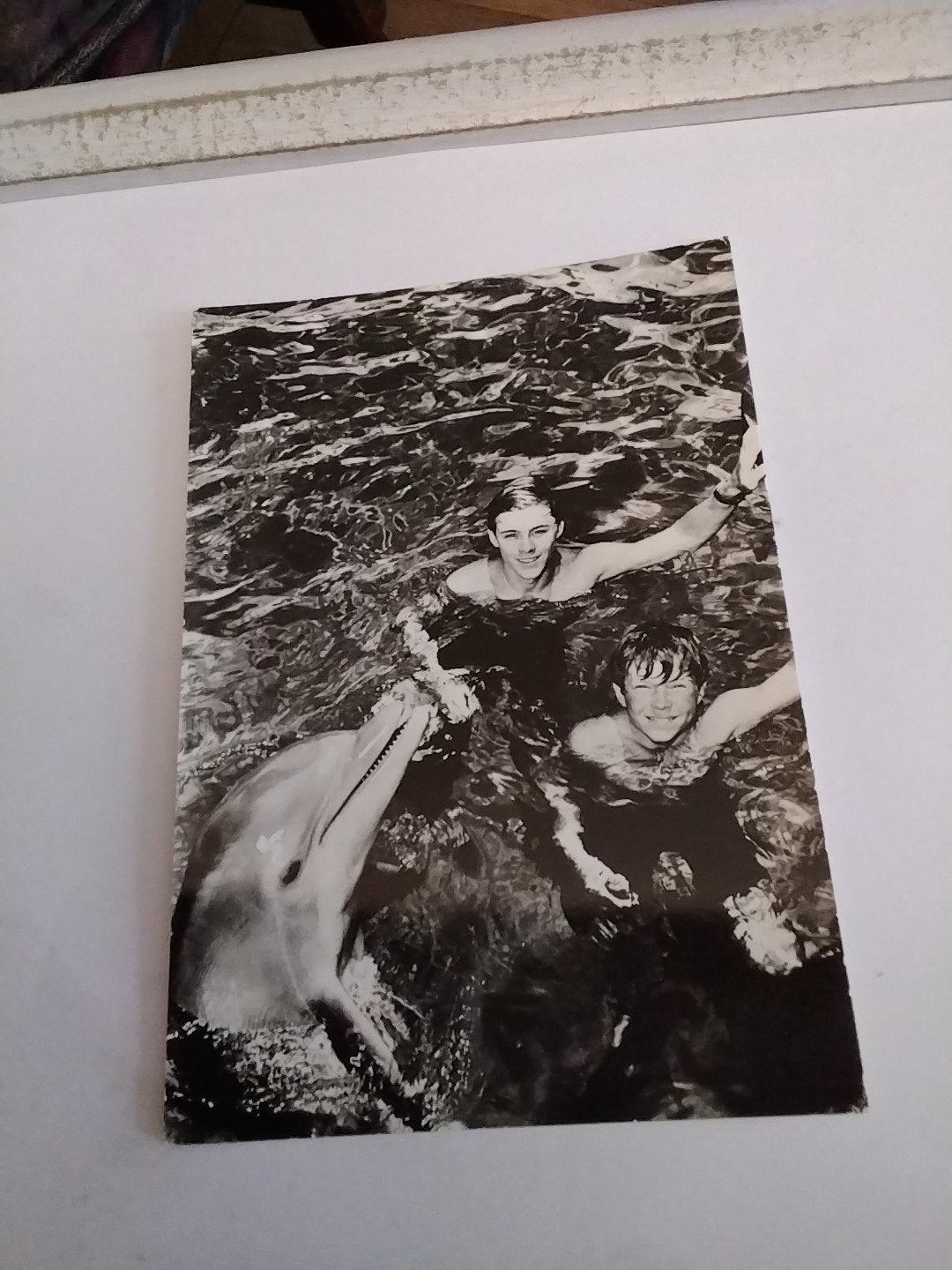 Vintage Ansichtkaart:  FLIPPER  Zwemmen met Dolfijn -, Ophalen of Verzenden