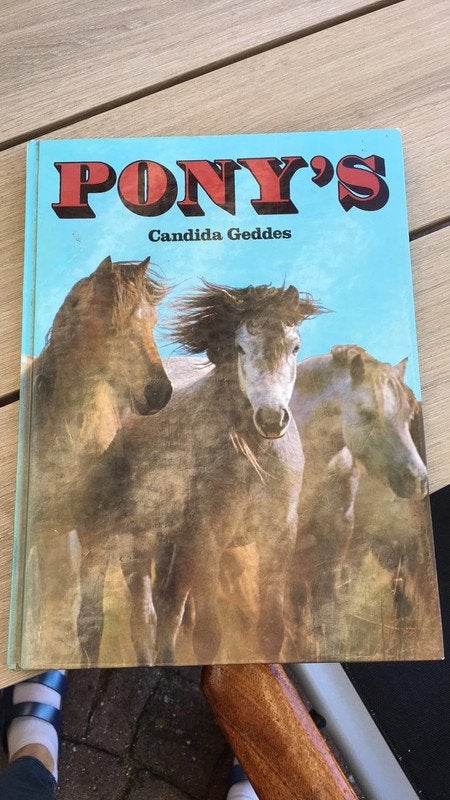 boek pony's Candida Geddes, Boeken, Ophalen of Verzenden, Zo goed als nieuw, Paarden of Pony's