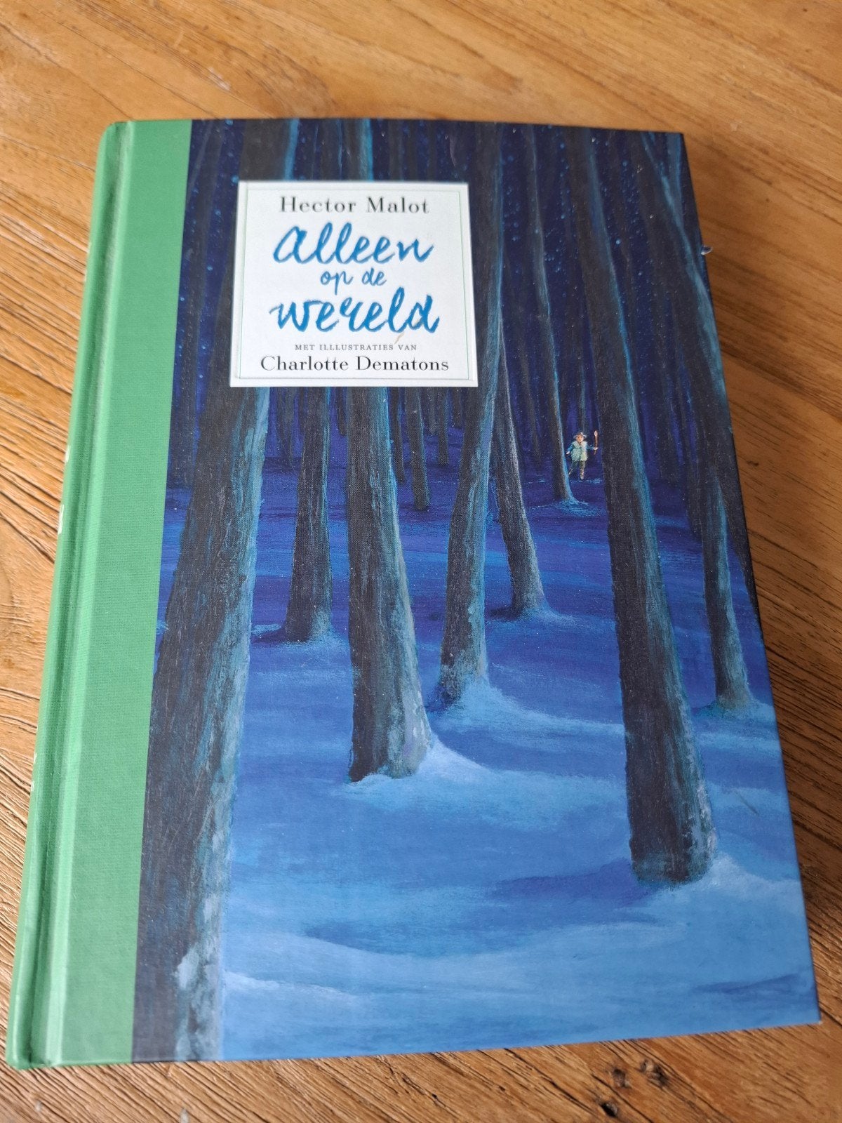 Alleen op de wereld - Hector Malot (geïllustreerd), Ophalen of Verzenden, Zo goed als nieuw