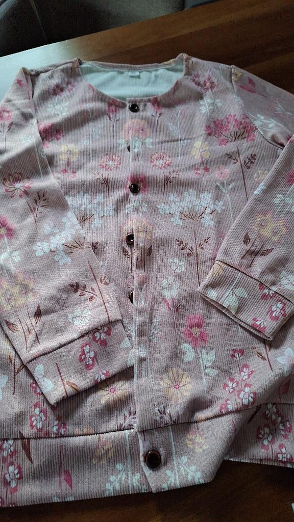 Vest, Ophalen of Verzenden, Nieuw, Maat 46/48 (XL) of groter, Overige kleuren