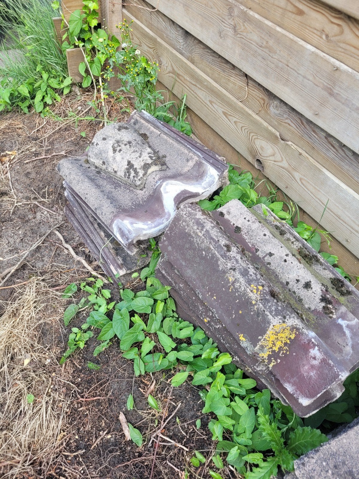 diverse nokvorsten, gevel en ventilatie pannen, Doe-het-zelf en Verbouw, Ophalen of Verzenden, Steen of Klei, 15 m² of meer, Dakpannen