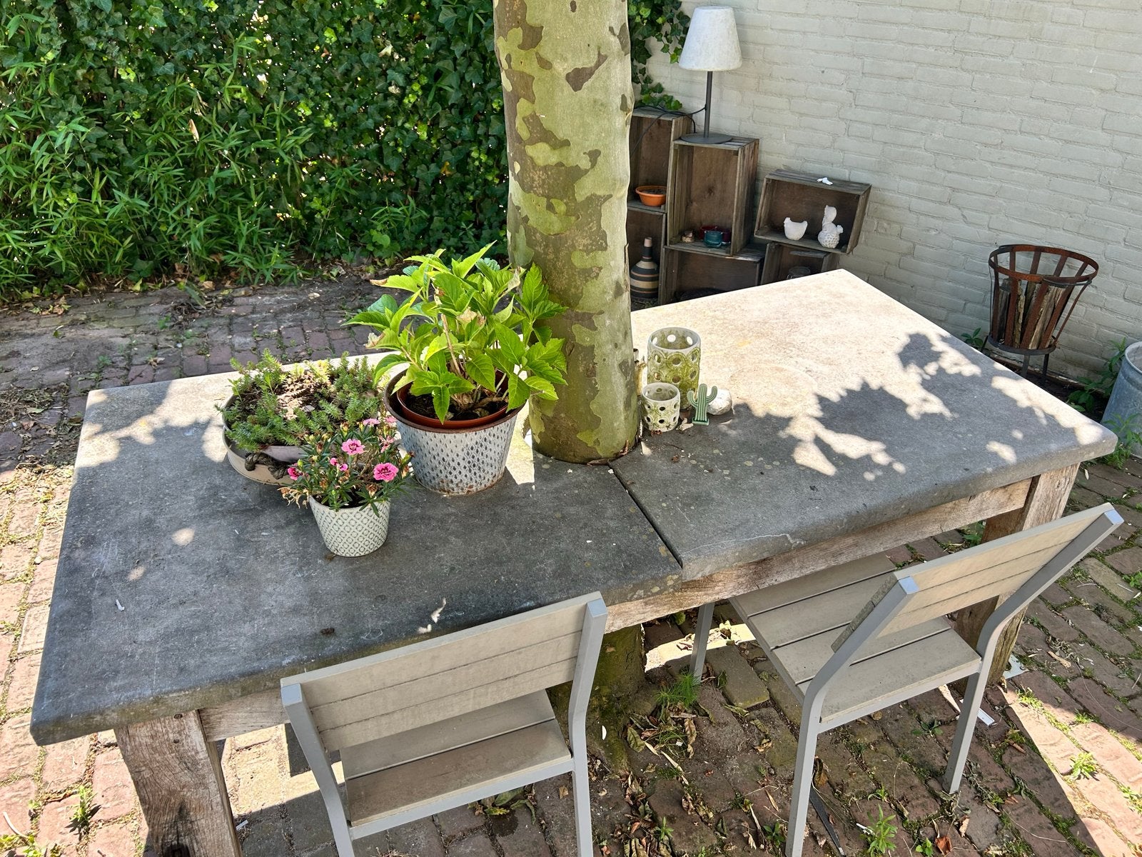 Unieke boomtafel met betonnen blad voor in de tuin, Ophalen, Gebruikt, Rechthoekig, Hout
