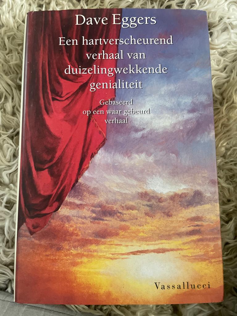 Dave Eggers - Een hartverscheurend verhaal, Ophalen of Verzenden, Gelezen, Nederland
