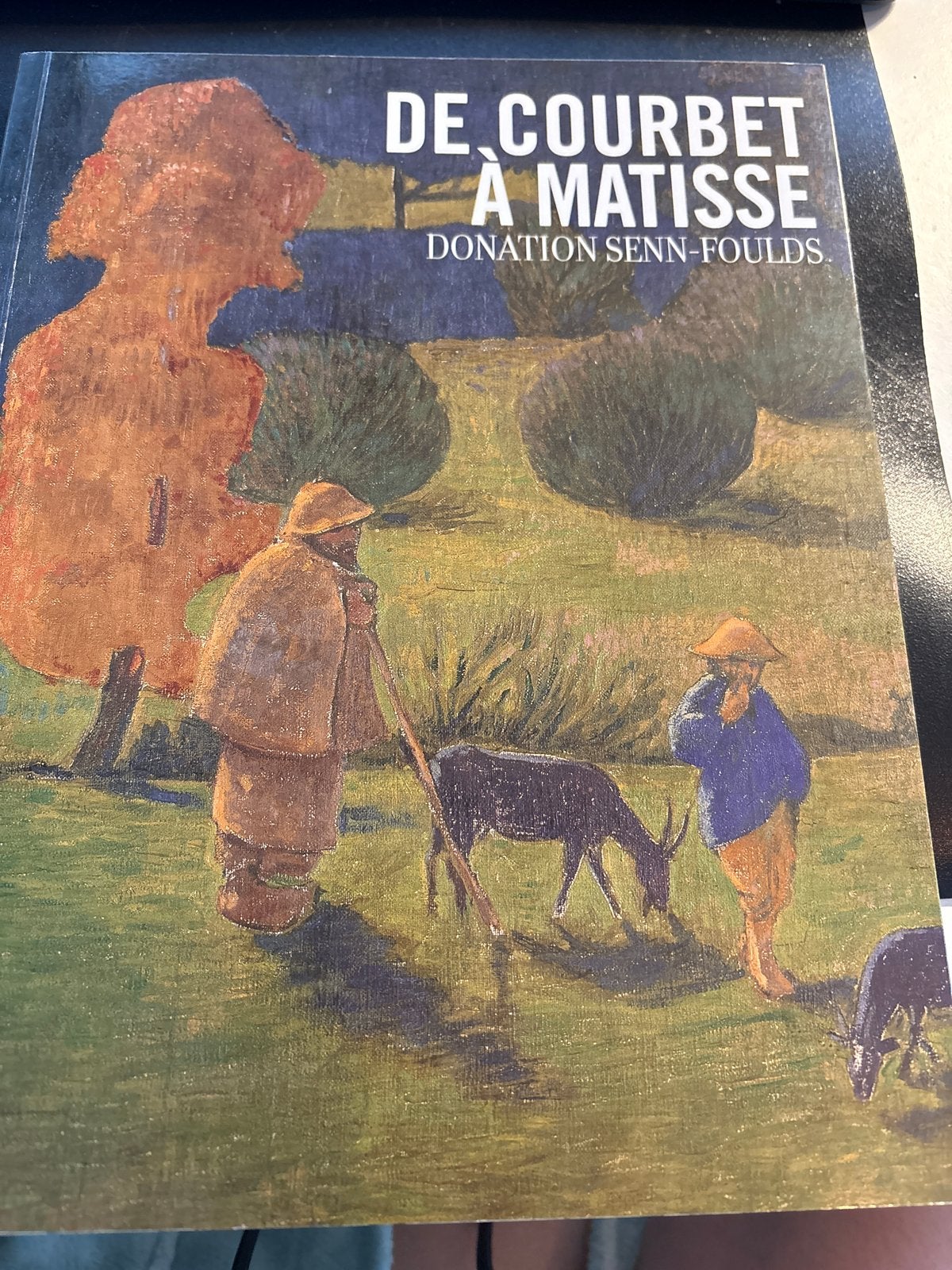 De Courbet à Matisse - Kunstboek (gebruikt), Ophalen of Verzenden, Gelezen, Schilder- en Tekenkunst