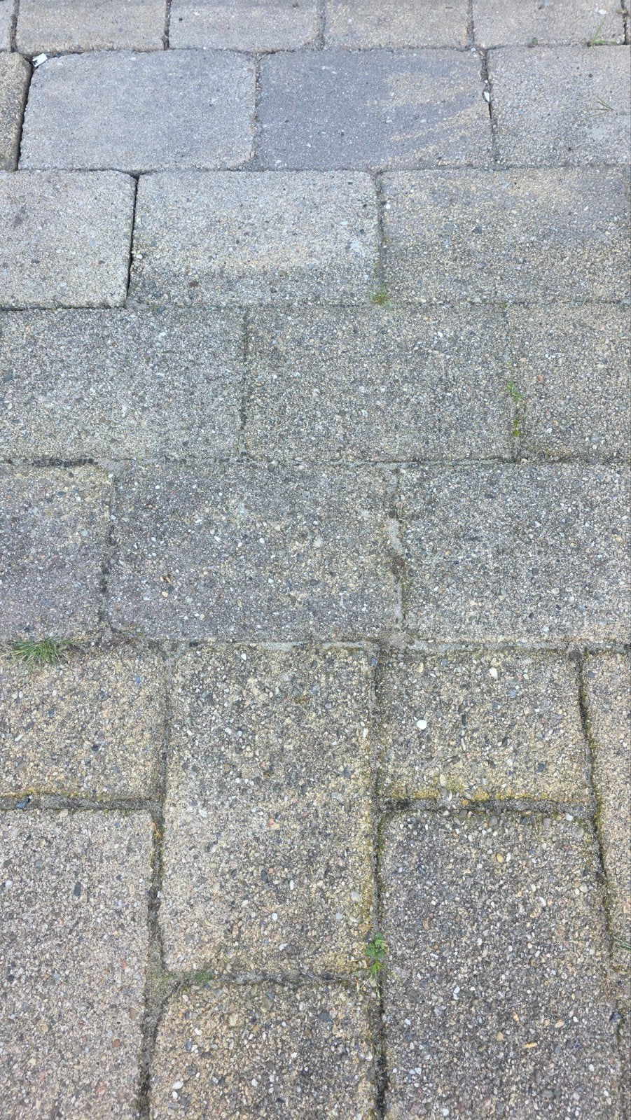 Tuintegels GRATIS OPHALEN

Meer dan 100 tegels., Ophalen, Gebruikt, Beton, Terrastegels