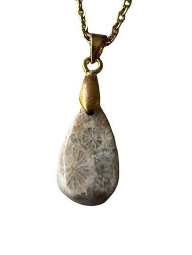 Fossielkoraal Ketting Handgemaakte Sieraden Roestvrijstaal, Met hanger, Overige kleuren, Vanbeeksaar4@gmail.com, Nieuw