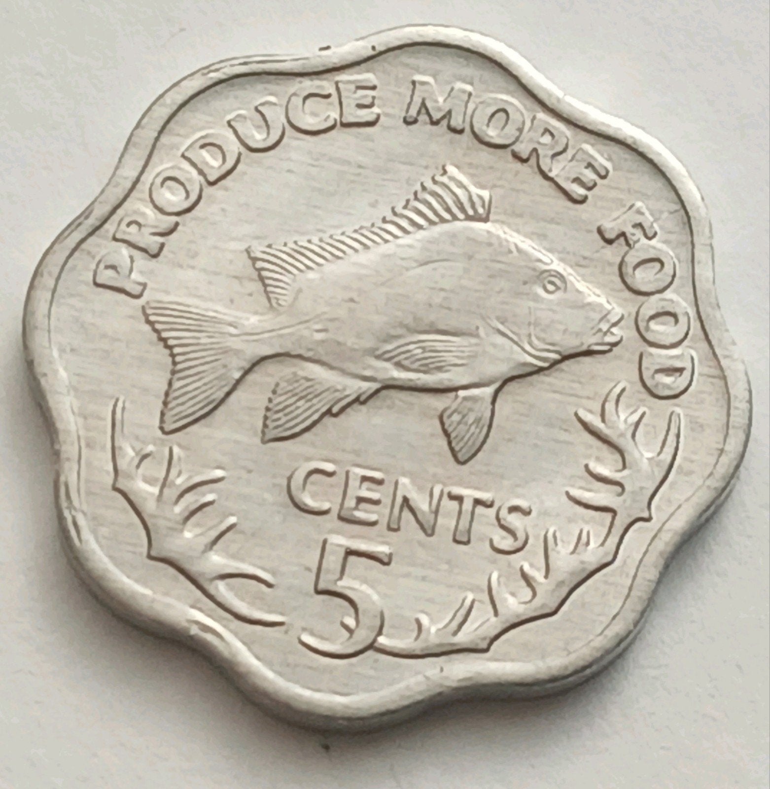 Seychelles 5 Cent 1977 FAO Herdenkingsmunt Seychellen UNC, Ophalen of Verzenden, Overige landen