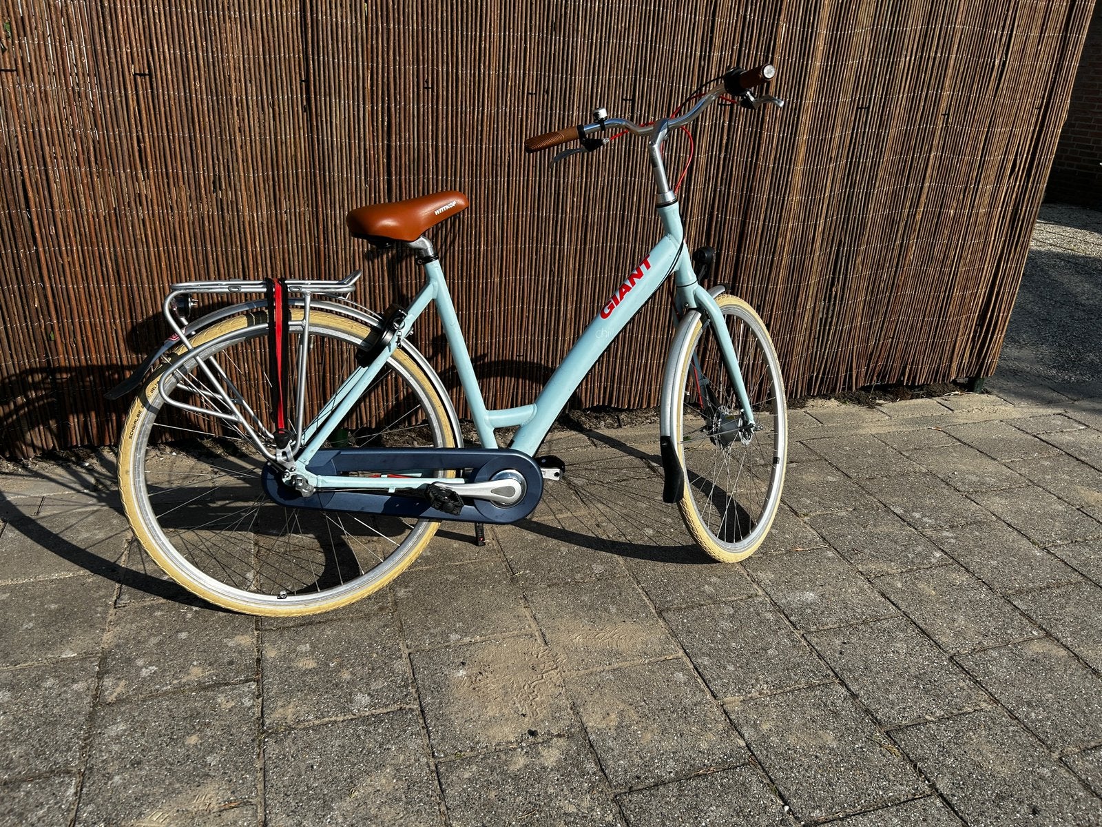 Giant damesfiets, Fietsen en Brommers, Ophalen, 47 tot 50 cm, Versnellingen, Giant