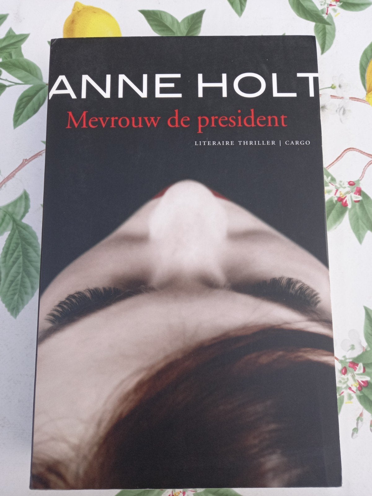 D Anne Holt - Mevrouw de president, Boeken, Thrillers, Zo goed als nieuw, Amerika, Ophalen of Verzenden