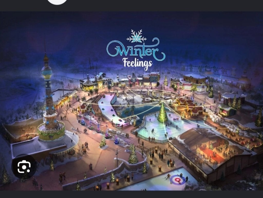 Toverland tickets 3 tickets €74 ook los te koop, Drie personen of meer, Ticket of Toegangskaart