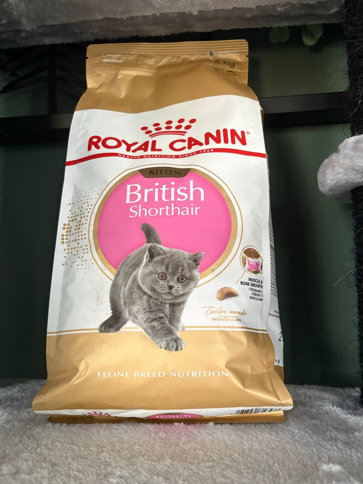 Royal Canin British Shorthair kittenvoer - 2 kg (nieuw!), Dieren en Toebehoren, Dierenvoeding, Ophalen, Kat