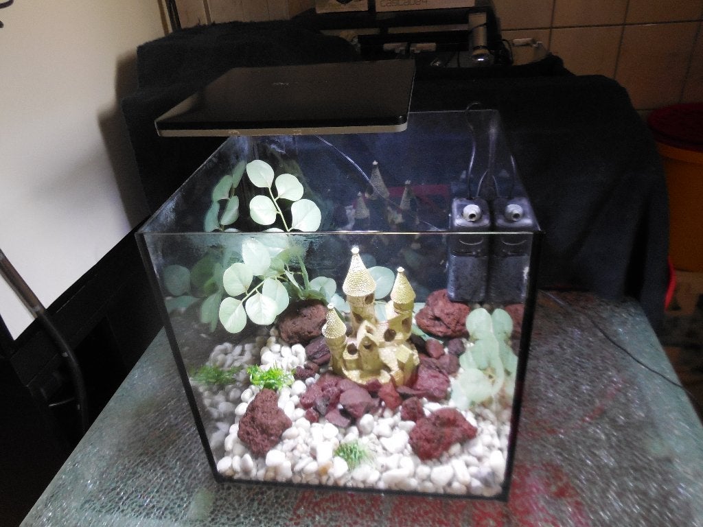 superfish qubiq 30 zwart, Ophalen, Gebruikt, Leeg aquarium, Superfish