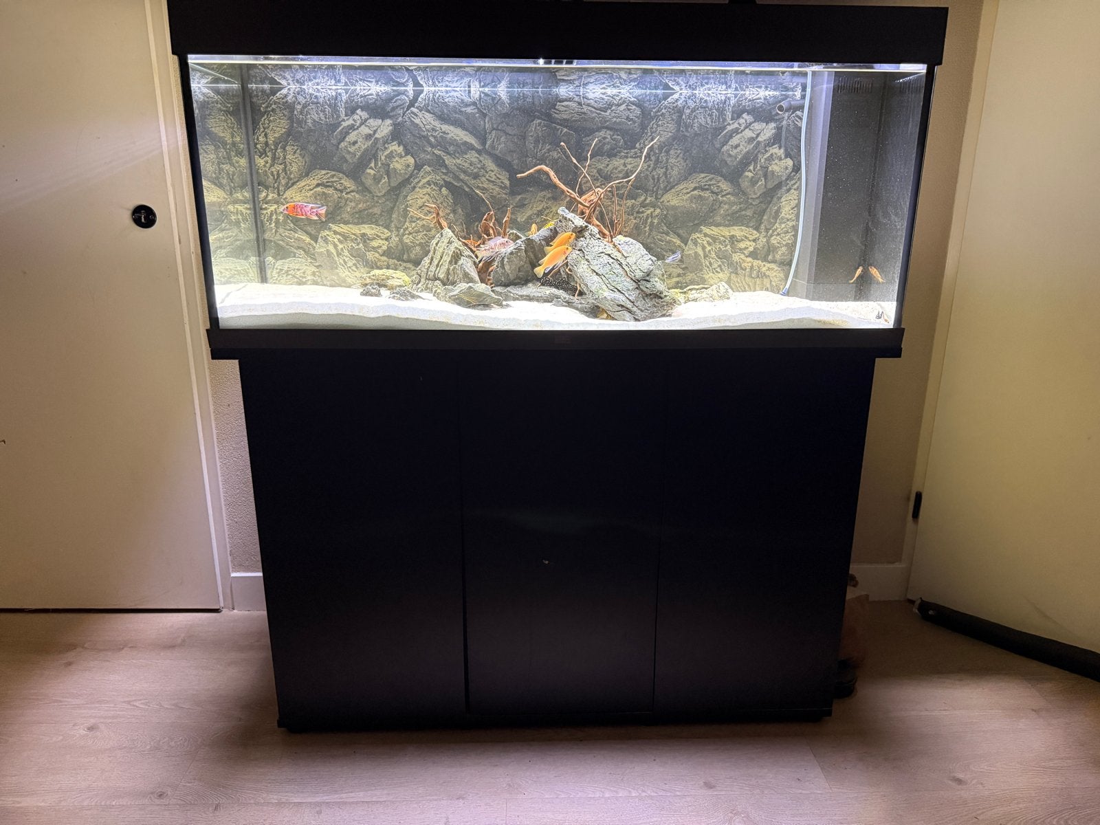 Aquarium+ meubel, Dieren en Toebehoren, Ophalen, Zo goed als nieuw, Leeg aquarium, Juwel
