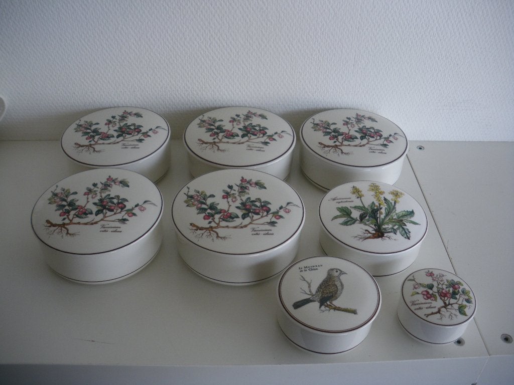 Villeroy & Boch Botanica dekseldoosjes, Villeroy & Boch, Ophalen of Verzenden, Zo goed als nieuw, Bord(en)