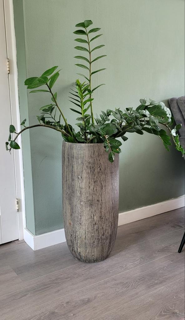 Bloempot voor binnen taupebruin 65 cm hoog, 25 tot 40 cm, Kunststof, Rond, Binnen