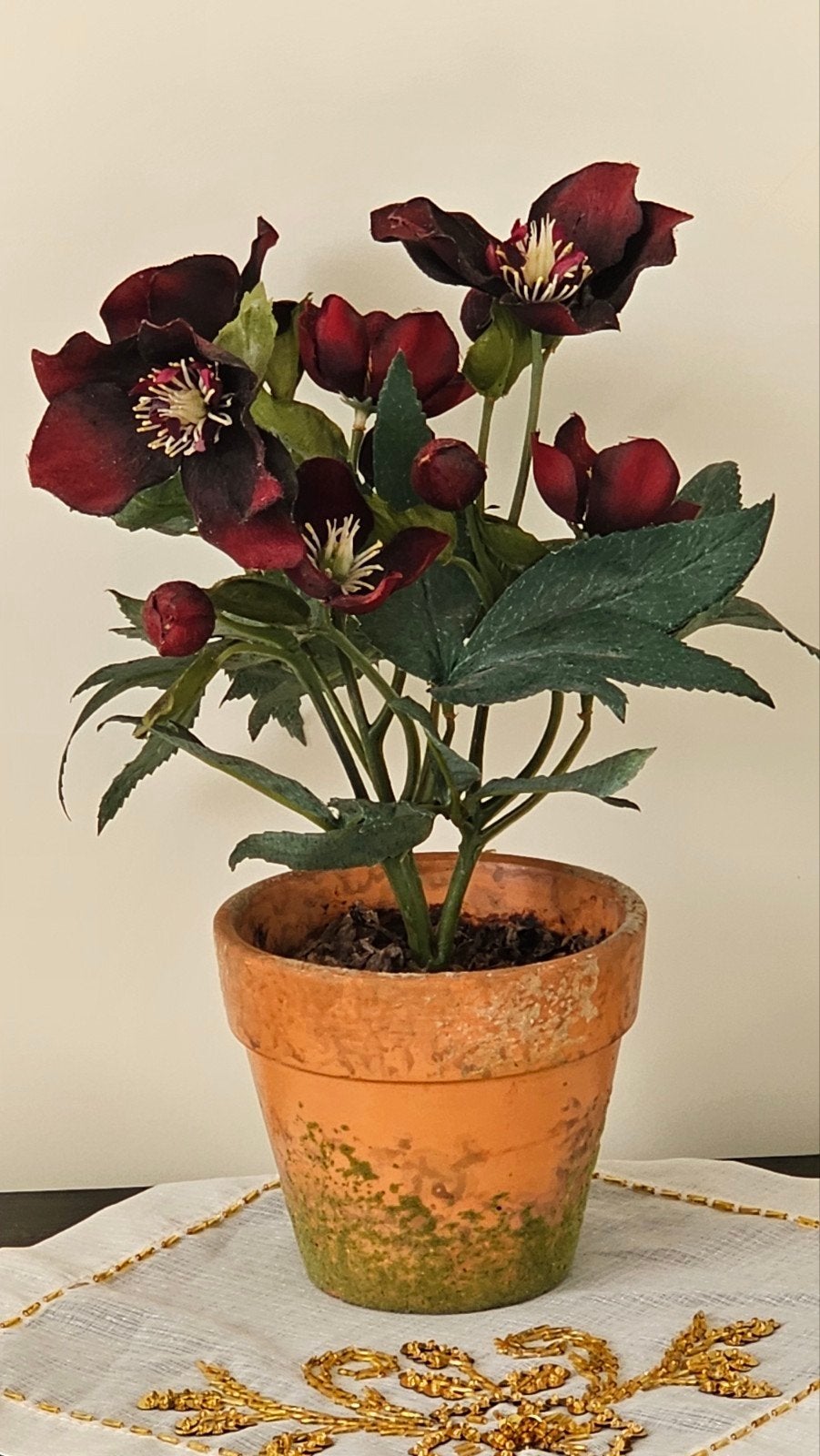 Kunstplant Helleborus in terracotta pot, bordeauxrood, Binnen, Gebruikt, Onderhoudsvrij, Kunstplant