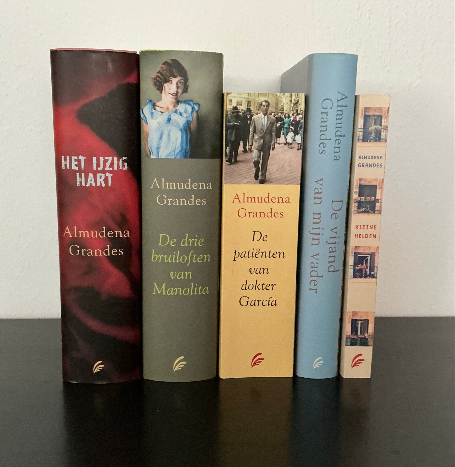 5 Prachtige Literaire Romans van Almudena Grandes, Verzenden, Zo goed als nieuw