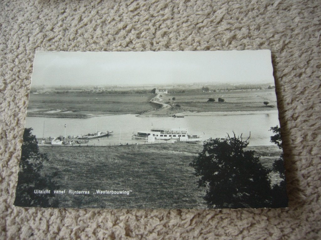 ARNHEM  =  UITZICHT VANAF RIJNTERRAS WESTERBOUWING, Verzamelen, Ophalen of Verzenden, 1940 tot 1960, Ongelopen, Gelderland