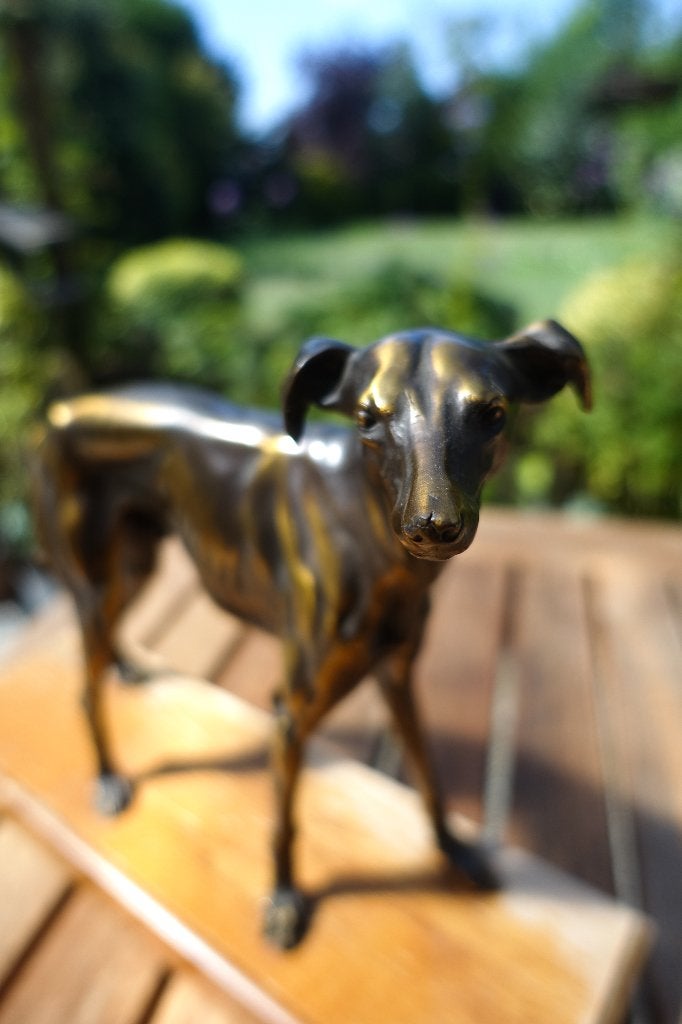 lief bronzen windhondje (greyhound), Ophalen of Verzenden, Brons, Beeld, Overige onderwerpen