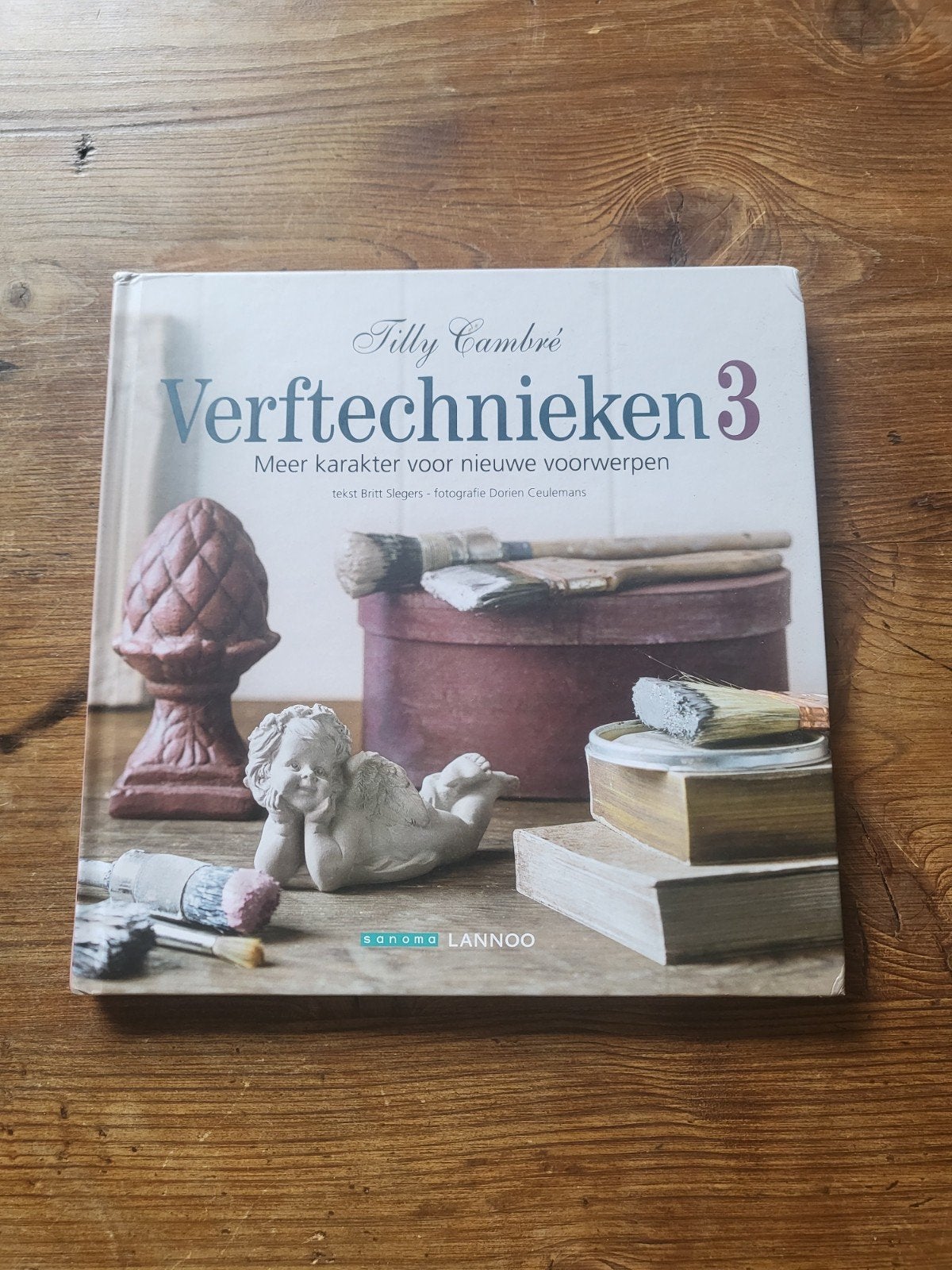 Tilly Cambre - 3, Ophalen of Verzenden, Gelezen, Tilly Cambre; Britt Slegers