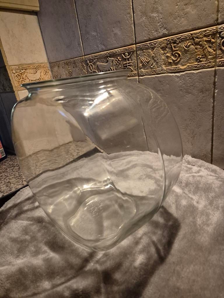 viskom - vaas - decoratie, Dieren en Toebehoren, Vissen | Aquaria en Toebehoren, Ophalen, Overige typen