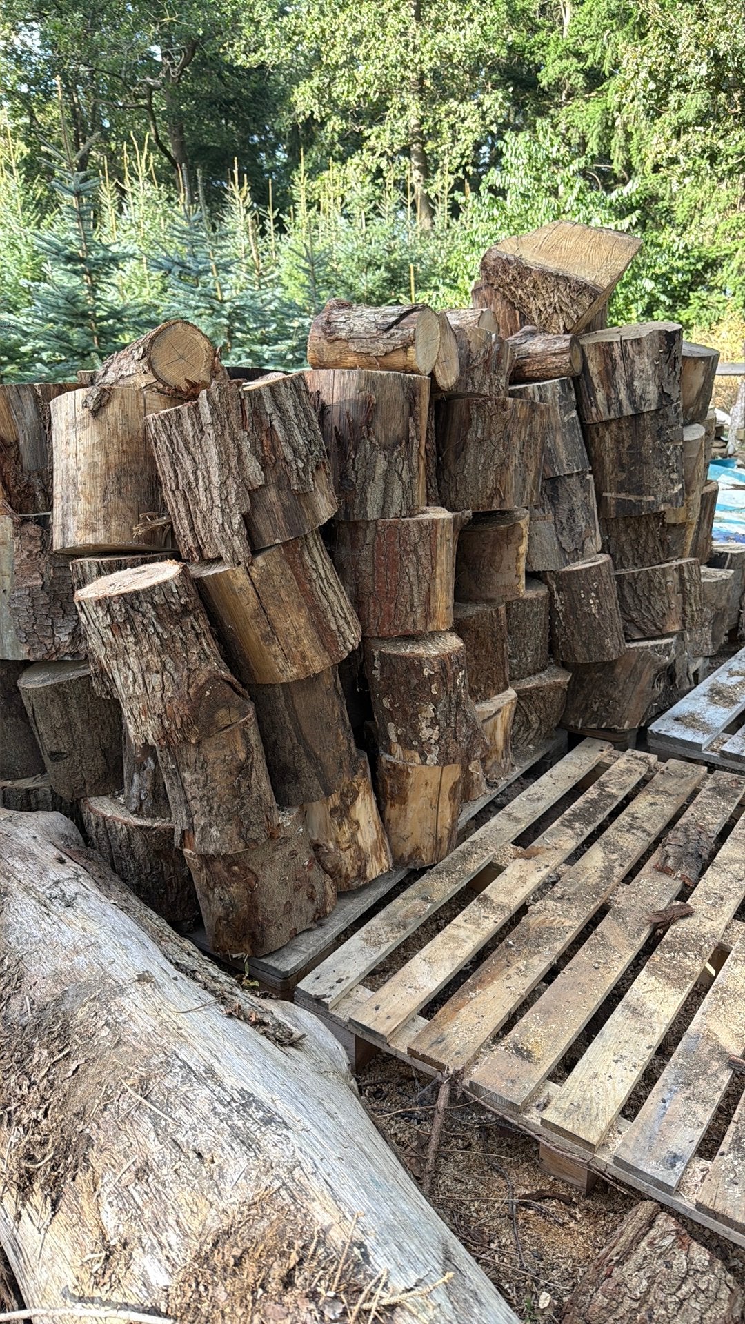 Droog eiken & essen brandhout – zelf kloven, Tuin en Terras, 3 tot 6 m³, Ophalen, Eikenhout, Blokken