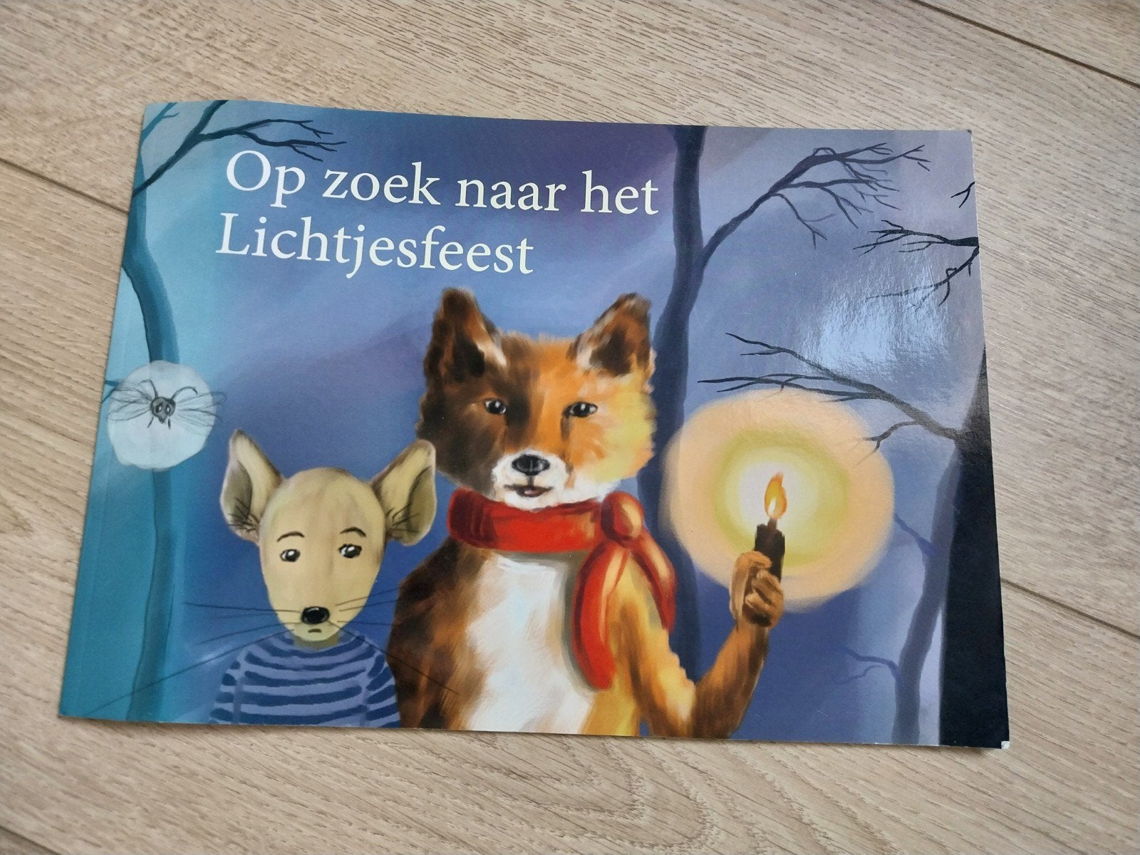 Prentenboek 'Op zoek naar het lichtjesfeest', 3 tot 4 jaar, Sanne Amsink, Ophalen of Verzenden, Zo goed als nieuw