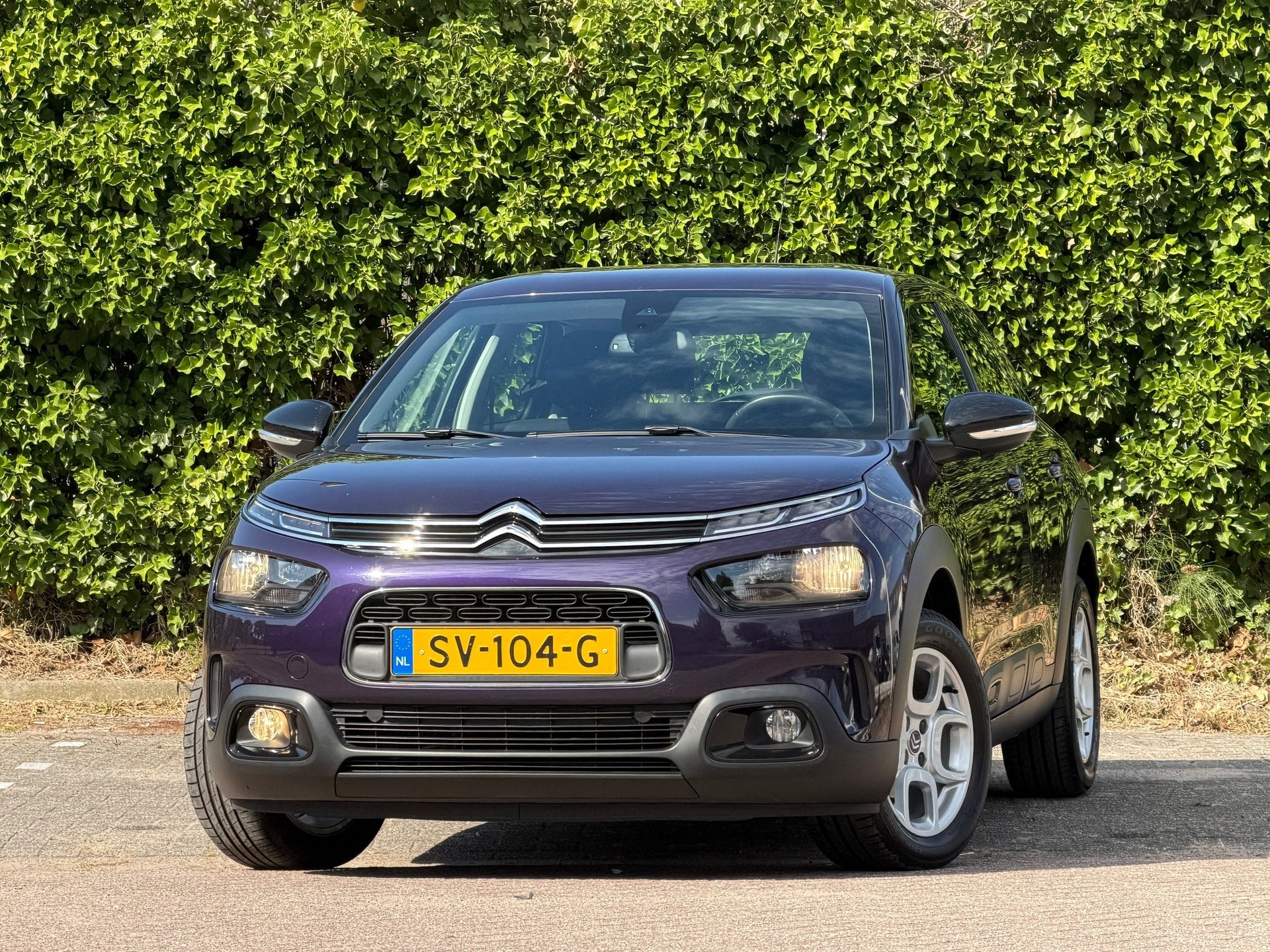 Citroen C4 Cactus 1.2 PureTech 110pk Business - Deep Purple, Voorwielaandrijving, 1005 kg, Stof, Euro 6