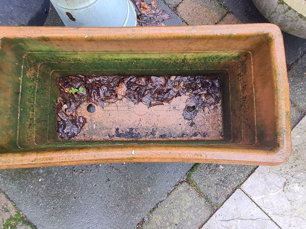 Vintage Italiaanse terracotta bloembak groter  modp/st 69.95, Ophalen, Heikant 21 Kaatsheuvel, Steen, Minder dan 30 cm