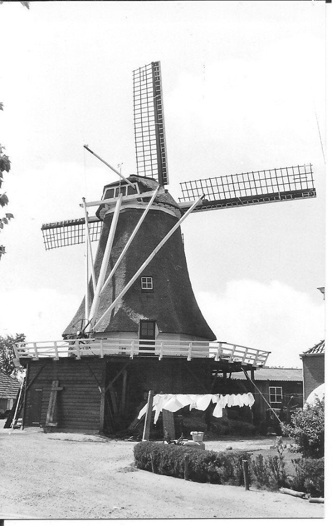 Zalk Korenmolen Ansichtkaart - Foto Juli 1976, Verzamelen, Ansichtkaarten | Nederland, Ophalen of Verzenden, 1960 tot 1980, Ongelopen