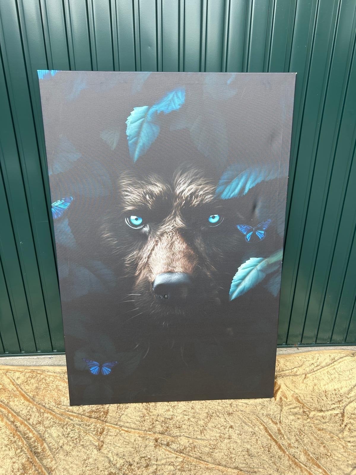 Canvas met wolf en blauwe vlinders, Gebruikt, Ophalen of Verzenden, Print, 75 – 100