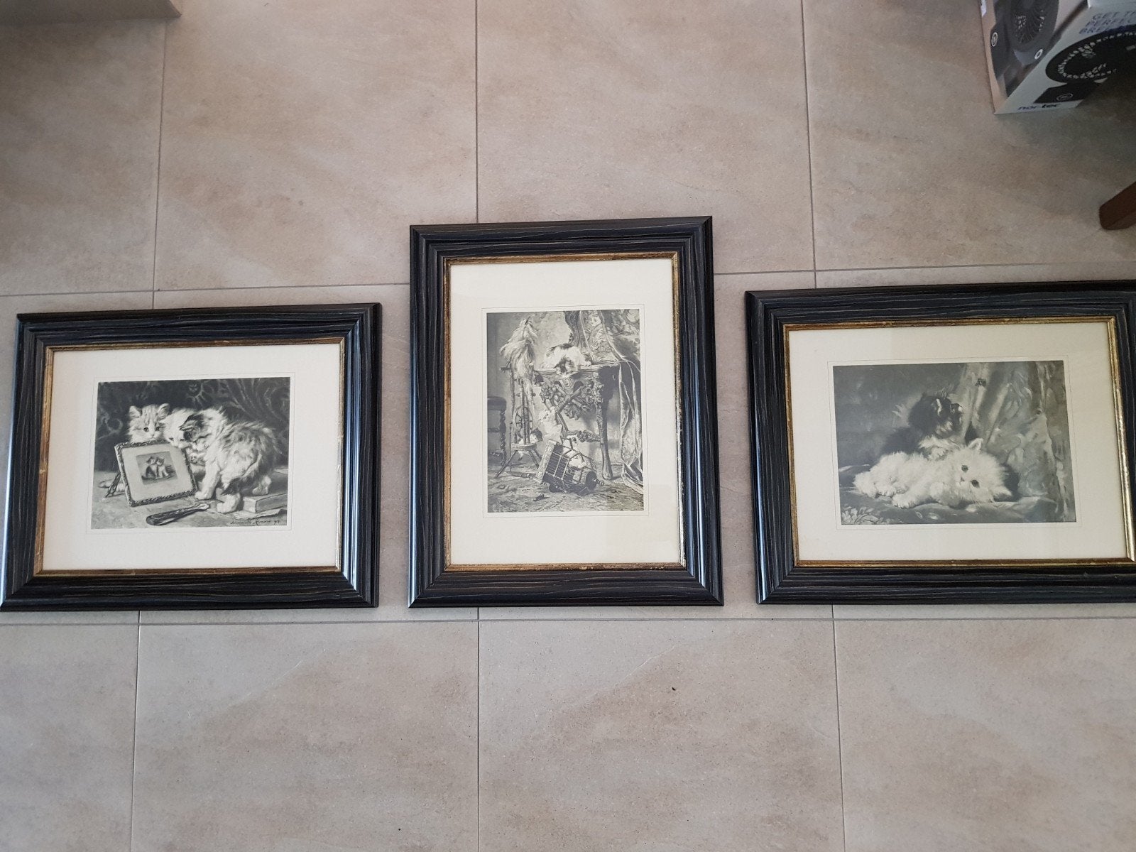 Poezen Katten in lijst, Ophalen, Glas, Wit