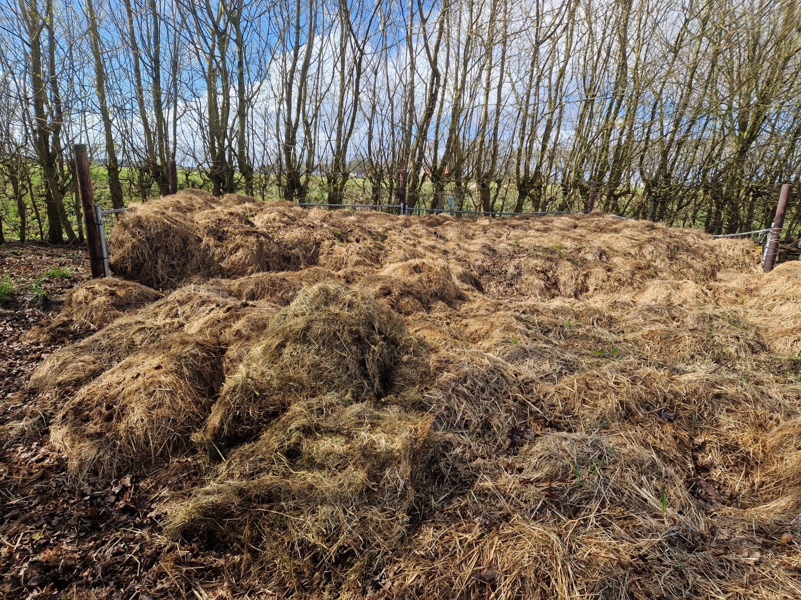 Paardenmest ca 30-40m3, Tuin en Terras, Aarde en Mest, Ophalen, Mest