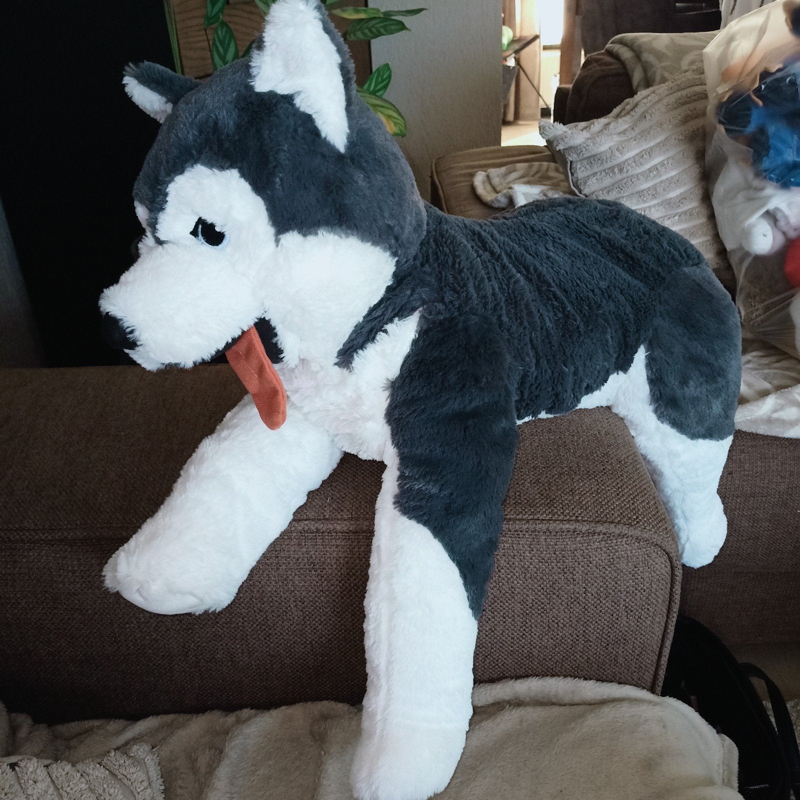 Ikea husky hond knuffel. Livlig., IKEA, Grijs, Zo goed als nieuw, Middelgroot (20 tot 80 cm)