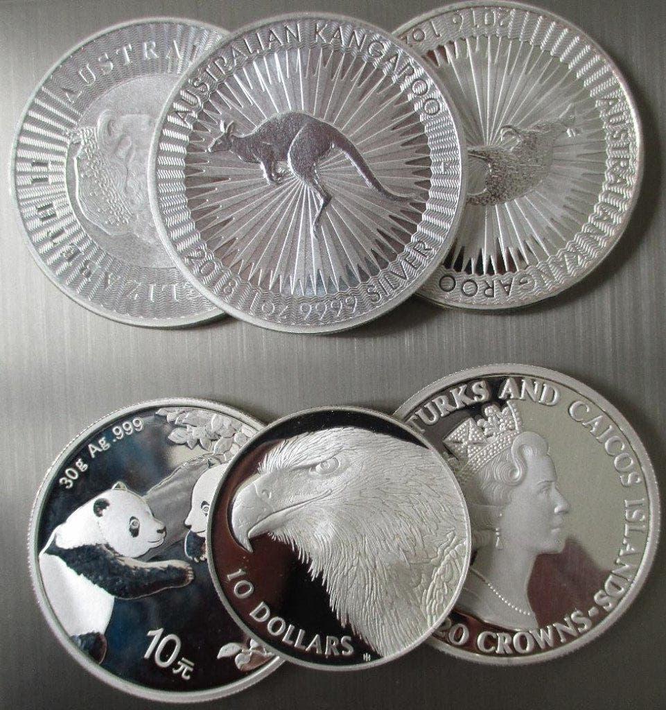6 munten - zilver Panda, Eagle, Kangoeroe, Dolfijn, Ophalen of Verzenden, Zilver