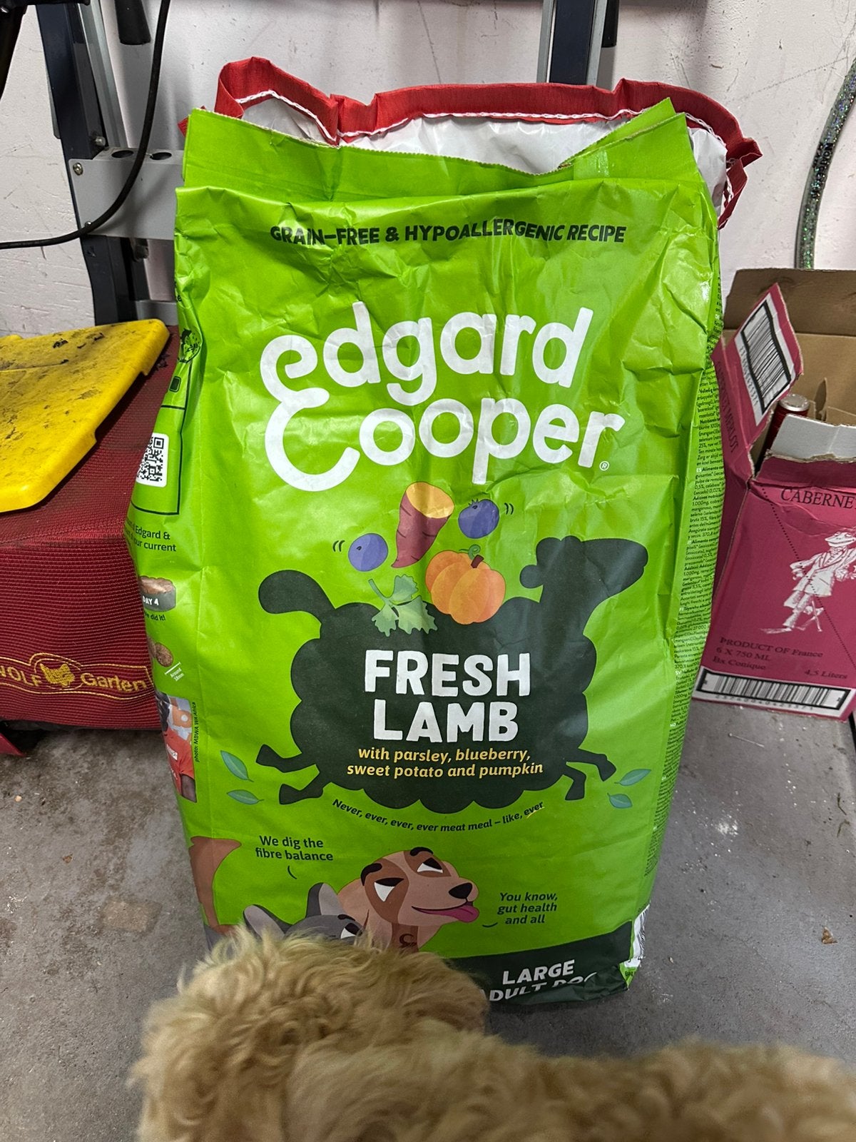 Grote zak hondenvoer 12 kg voor (middel)grote honden., Ophalen, Hond