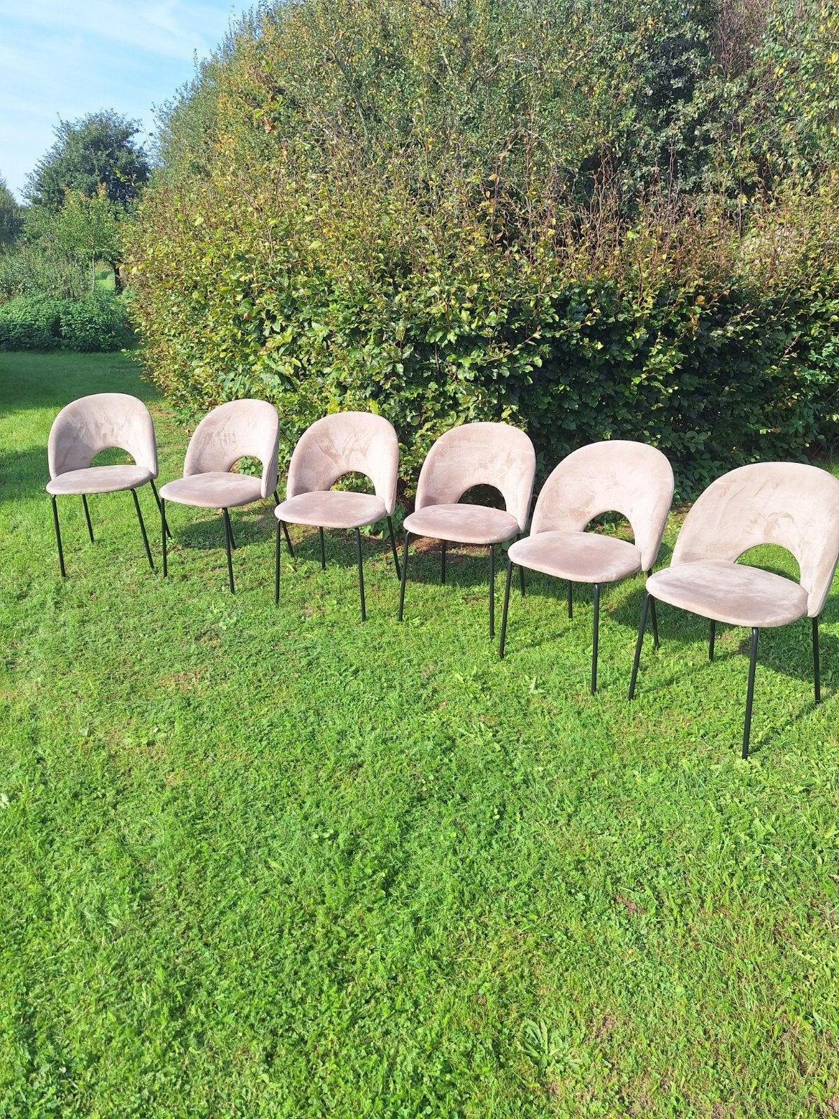 eetkamerstoelen, Ophalen, Gebruikt, Overige kleuren, Vijf, Zes of meer stoelen