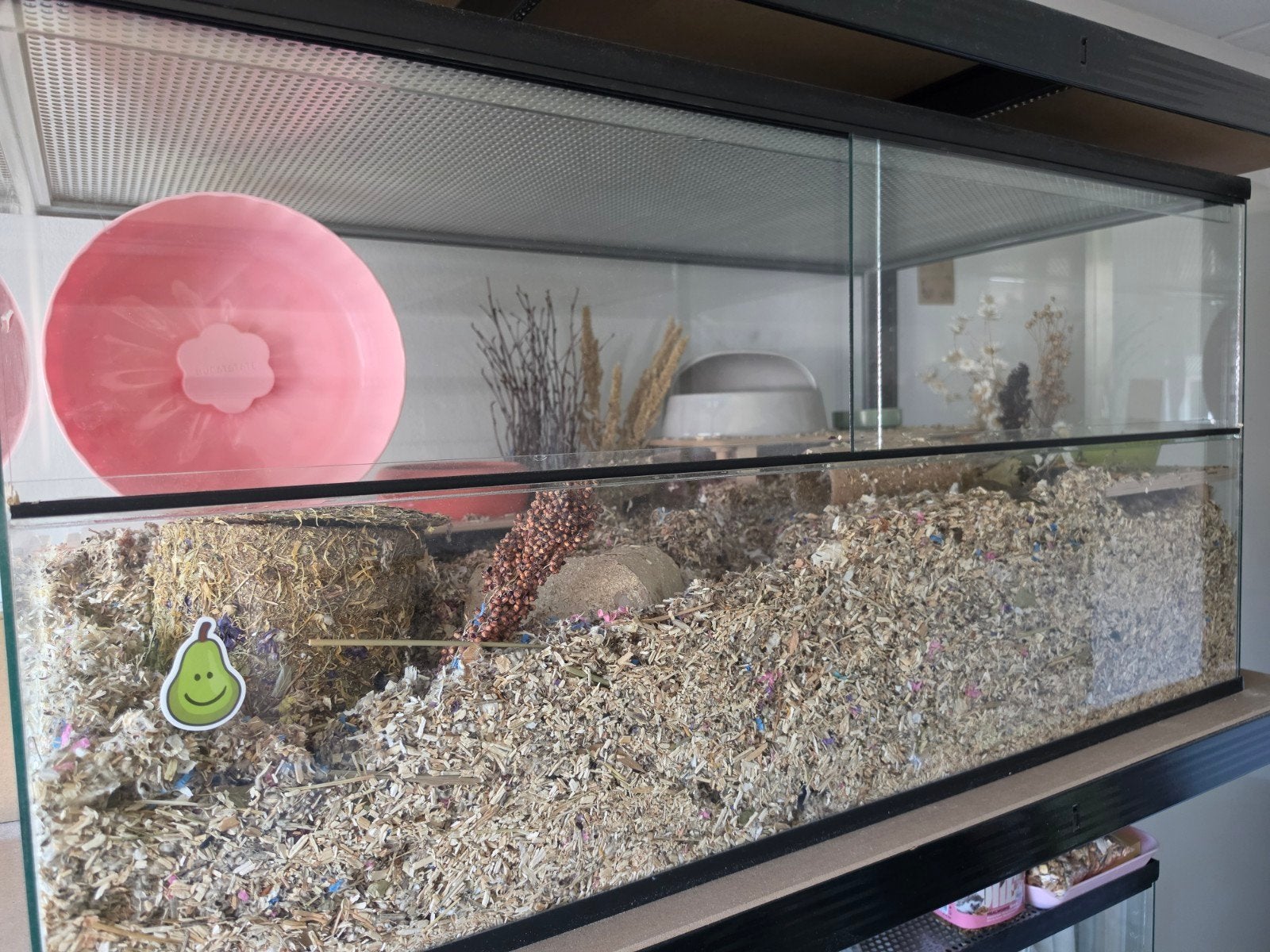Terrarium 100x50x50 te koop, Zo goed als nieuw, Muis, Hok, 75 tot 110 cm