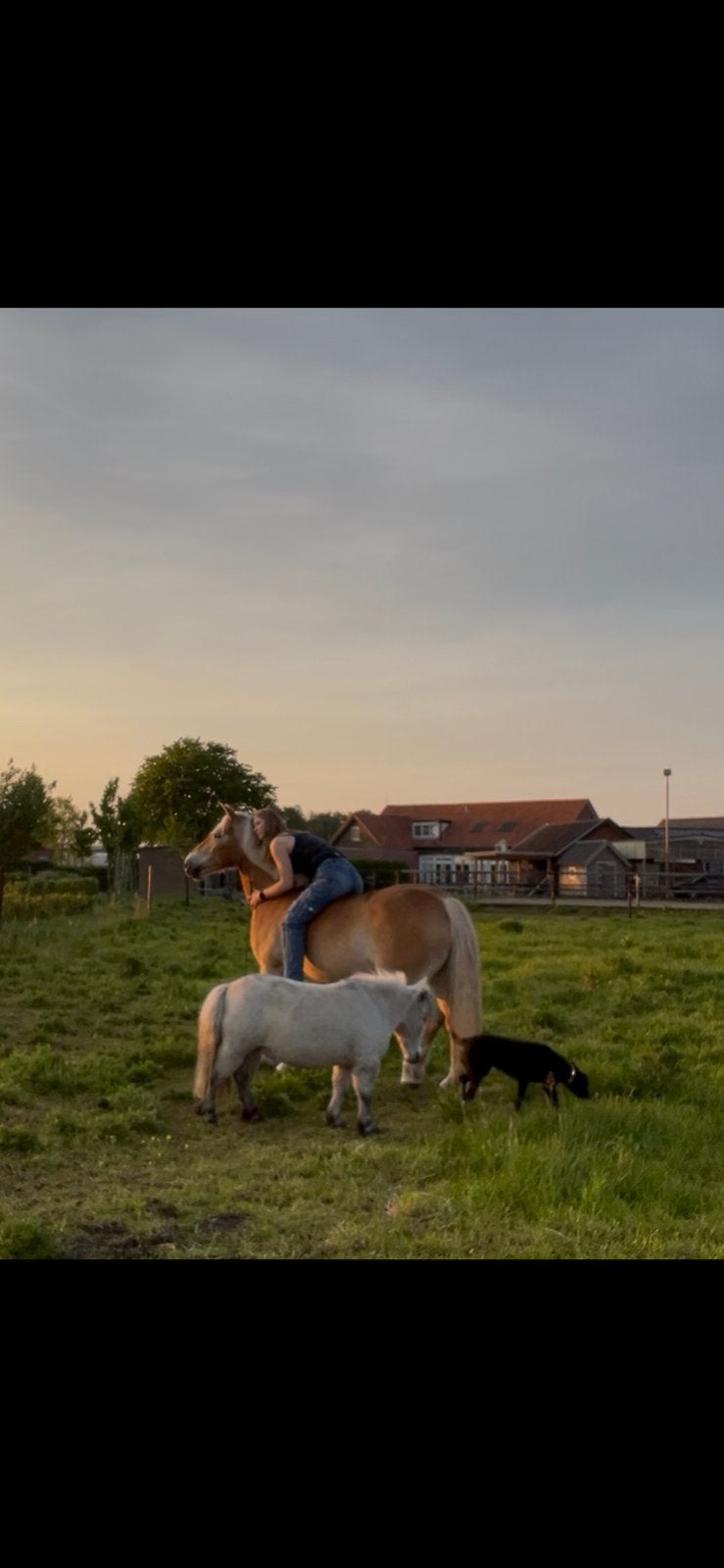 Woonplek gezocht breda omgeving!, Huizen en Kamers